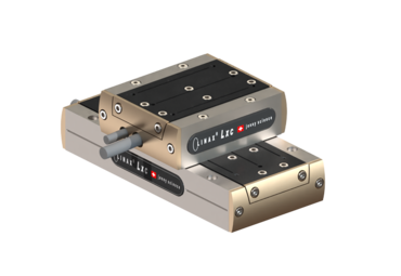 P. willinckii ’Jenny’ TC 2106 Applications | Jenny Science AG